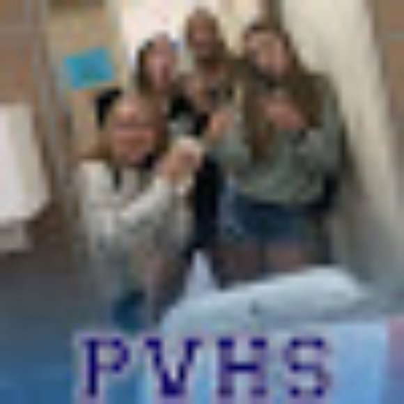 Meet your Posher, Alona - Picture 3 of 3